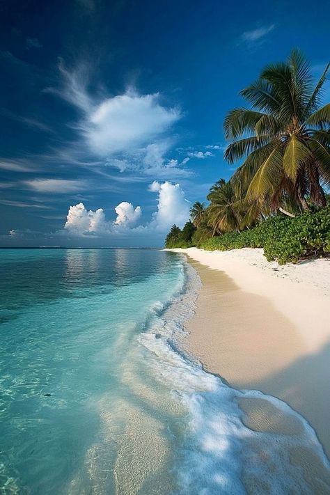 Experience the Ultimate Beach Escape in the Maldives �🏝✨ Discover the beauty of the Maldives with its white-sand beaches, crystal-clear waters, and luxurious resorts. Perfect for a dream beach getaway. 🌿🌊 #Maldives #BeachGetaway #LuxuryTravel #IslandEscape Beautiful Beaches Paradise, Summer Beach Pictures, Maldives Beach, Overwater Bungalows, Maldives Island, Ocean Pictures, Beach Getaway, Tropical Beaches, Islands Of Adventure