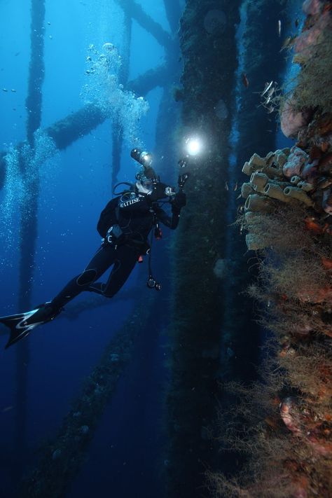 The Gulf of Mexico’s Hottest Diving Spots Are Decommissioned Oil Rigs | Travel | Smithsonian Magazine Marine Archaeology Aesthetic, Oil Rig Aesthetic, Swimming Reference, Diving Aesthetic, Mexico Project, Marine Archaeology, Underwater Welding, Artificial Reef, Higher Art