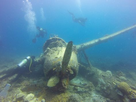 Wwii Plane, Palau, Usa News, Diving