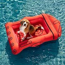 Dog Fire Hydrant, Giant Wine Glass, Pineapple Pool Float, Pool Gifts, Pool Toy, Treading Water, Treat Jar, Pool Toys, Water Toys