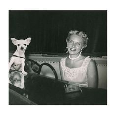 vintage chihuahua | 1000+ images about Chihuahua - Vintage on Pinterest | Chihuahuas, Chihuahua dogs and Vintage dog Vintage Chihuahua, Black Chihuahua, 1950s Woman, Chihuahua Art, Dog Heaven, Fitness And Wellness, Chihuahua Lover, Cute Chihuahua, Old Hollywood Stars