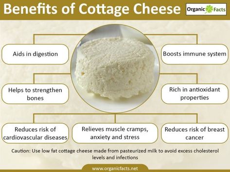 Benefits Of Cottage Cheese, Cheese Benefits, Nutrition Counseling, Body Functions, Eating Eggs, Mood Food, Animal Products, Rich In Protein, Nutrition Coach