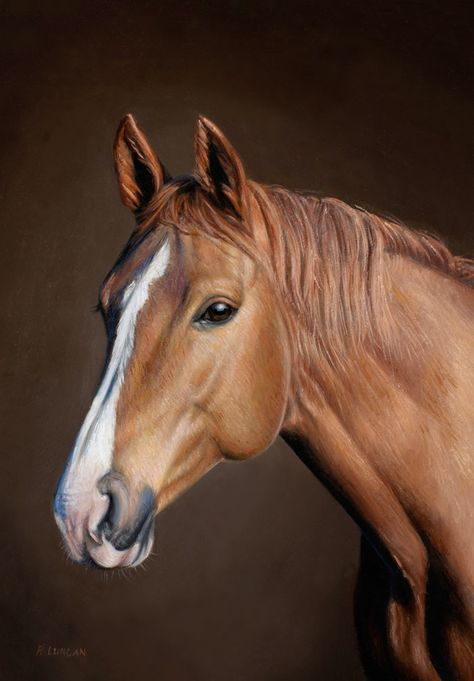 oil Portrait painting of an American Quarter Horse by Rebecca Luncan Horse Head Portrait, Horse Eye Painting, Painting Horse Eyes, Horse Portrait Painting, Horse Portrait Oil Painting, White Horse Oil Painting, Horse Portraits, Horse Images, Different Horse Breeds