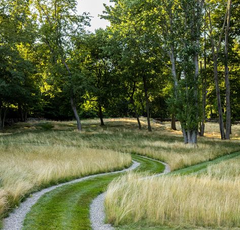 Ribbon Driveway, Driveway Entrance Landscaping, Farmhouse Landscaping, Walking Paths, The Grove, The Barn, The Ranch, Outdoor Design, Garden Planning