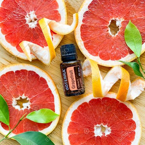 Doterra Grapefruit, Increase Motivation, Fennel Oil, Slim And Sassy, Grapefruit Diet, Essential Oils Guide, Grapefruit Oil, Ginger Oil, Vanilla Essential Oil