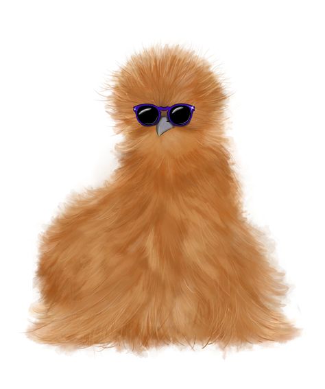 Silkie Chickens wearing sunglasses Silkie Chicken Drawing, Fluffy Chicken Drawing, Silkie Chicken Art, Showgirl Silkie Chicken, Chicken Stickers Design, Chicken Wallpaper, Fluffy Chicken, Chicken Drawing, Silkie Chickens