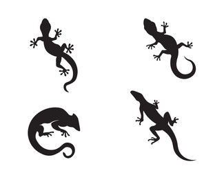 Small Lizard Tattoo, Gecko Illustration, Gecko Tattoo, Mickey Mouse Wedding, Lizard Tattoo, Small Lizards, Hibiscus Tattoo, Thailand Tattoo, Hawaiian Designs