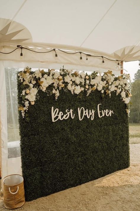 Wedding Picture Backdrop, Wedding Photo Walls, Floral Backdrops, Grass Backdrops, Ivy Wall, Wedding Mirror, Wedding Entrance Decor, Photo Backdrop Wedding, Wedding Wall Decorations