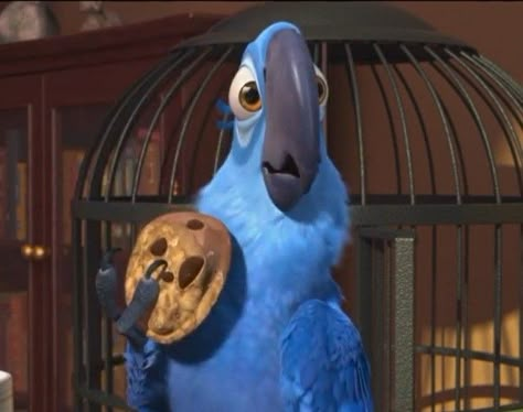 Rio Aesthetic Movie, Rio Movie Aesthetic, Blue From Rio, Rio Pfp, Rio Cartoon, Rio The Movie, Blue Rio, Still Life With Woodpecker, Rio Movie