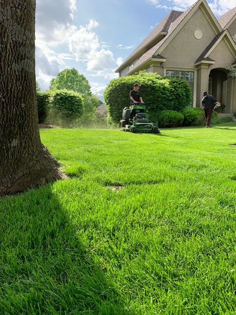 Finding the right lawn care company can be difficult. We have some tips to help you out. Lawn Care Aesthetic, Lawn Care Flyers, Lawn Care Business Cards, Lawn Mowing, Landscaping Business, Lawn Service, Prayer Board, They Said, Personal Brand