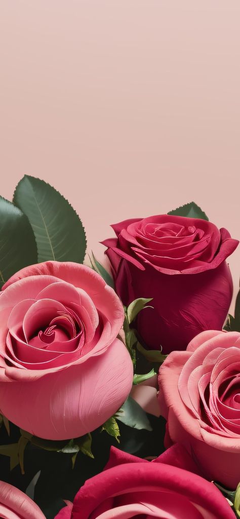 Wallpaper Iphone Roses, Arte Aesthetic, Red Roses Wallpaper, Roses Art, Iphone Wallpaper Landscape, Floral Wallpaper Iphone, Flowers Photography Wallpaper, Art Animation, Diy Wallpaper