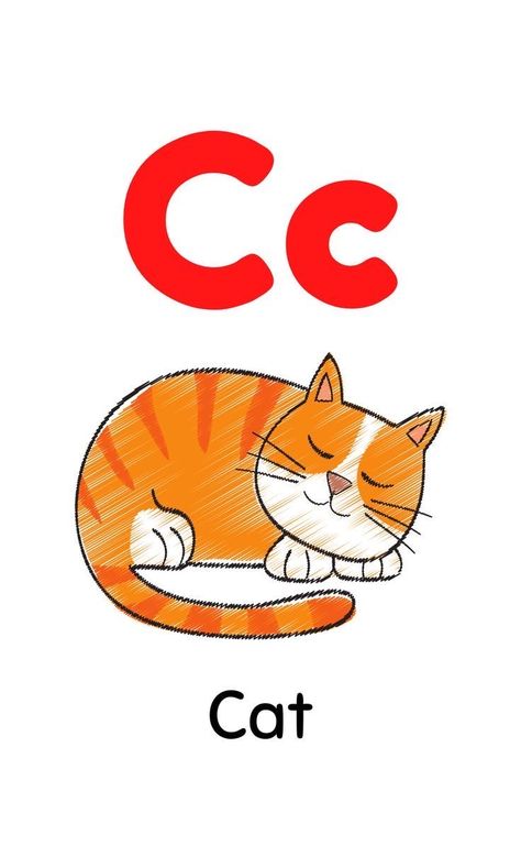 Alphabet Letters Images A To Z, Alphabet Flashcards A To Z, Alphabet Pictures Printables, Cat Flashcard, Letter C Flashcards, A To Z Flashcards, C Phonics, Flashcard Alphabet, Alphabet Word Wall Cards