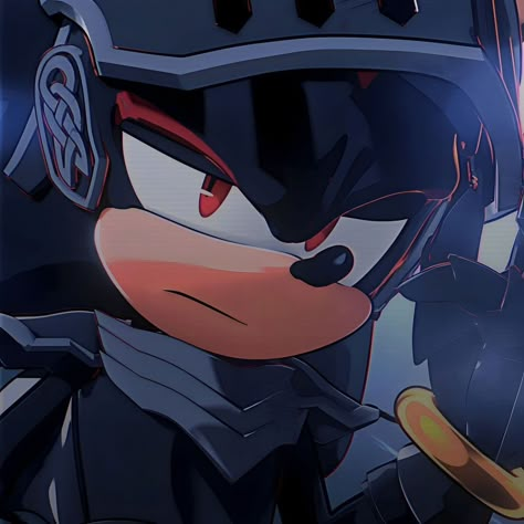 Shadow Sonic, Sonic Funny, Sonic Fan Characters, Blue Hedgehog, Sonic Franchise, Hedgehog Art, Sonic Adventure, Shadow Pictures, Sonic And Shadow