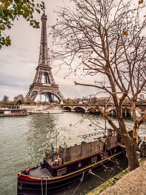 Paris in Autumn (2012). Photo by Beum Thanachai. Paris Tumblr, Saving Account, Torre Eiffel Paris, Paris In Autumn, River Seine, City Of Paris, Paris Photo, Paris Eiffel Tower, The Eiffel Tower