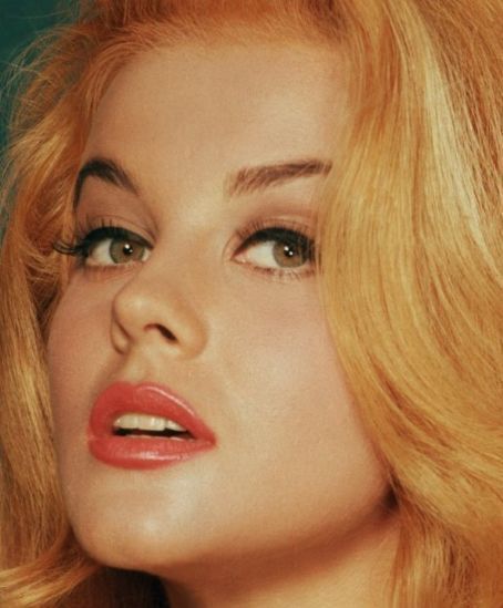 Swedish Actors, Anne Margret, Anne Margaret, Ann Margaret, Susan Hayward, Ann Margret, Extraordinary People, Classic Actresses, Kate Upton