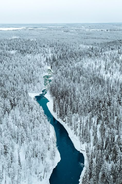 Finland Travel, Lapland Finland, Winter Forest, Elder Scrolls, Landscape Photographers, Free Image, Beautiful Landscapes, Design Resources, Europe Travel