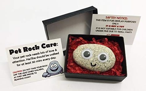 Pet Rock, Rock Gifts, Pet Rocks, Presents For Him, Diy Stuffed Animals, Party Bags, Online Gifts, You Smile, Novelty Gifts