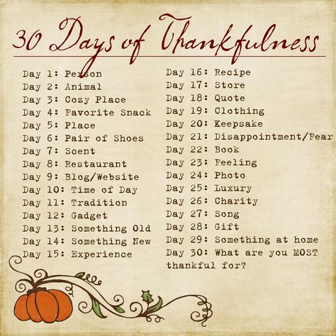 #Thankful 30 days of Thankfulness Challenge:  Here is a guide of what to think about each day (it is from 2011 but I will be doing it this year). Do every day or just a few. If something doesn't inspire you choose a different topic for the day Thankful Ideas, November Challenge, Thanksgiving Gratitude, Gratitude Prompts, Photo A Day Challenge, Gratitude Journal Prompts, Gratitude Challenge, Pet Day, Photography Challenge