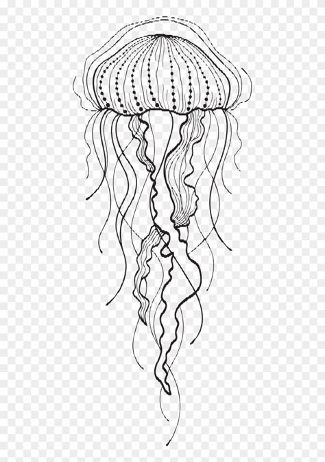 Jelly Fish Line Tattoo, Jelly Fish Drawing Easy, Jelly Fish Tattoo Drawing, Jelly Fish Tattoo Design Drawing, Jelly Fish Tattoo Design, Jellyfish Outline Tattoo, Jelly Fish Tattoo Simple, Jellyfish Line Drawing, Ocean Life Drawings