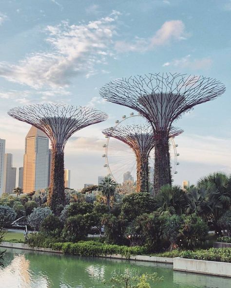 Super Trees Singapore, Tree Grove, Nature Park, Planet Earth, Marina Bay Sands, Product Design, Eden, Singapore, Planets