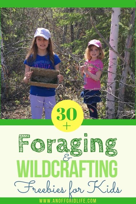 How to Use Foraging and Wildcrafting To Teach Your Kids | An Off Grid Life #foraging #wilderness #homeschooling Survival Homeschool Unit, Wilderness Skills, Moon Taurus, Horticultural Therapy, Allotment Ideas, January Challenge, Homeschool Nature Study, Diy Medicine, Badge Ideas