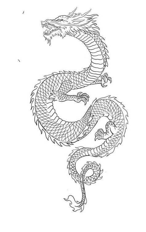 Dragon Tattoo Outline, Dragon Tattoo Stencil, Dragon Tattoo Drawing, Dragon Tattoo Arm, Dragon Tattoo Sketch, Red Dragon Tattoo, Dragon Tattoos For Men, Dragon Tattoo Art, Chinese Dragon Tattoos