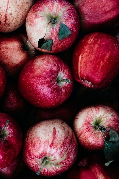 How to Preserve Apples | TENDING the TABLE Preserving Apples, Fall Vegetables, Healthy Recipes Easy Snacks, Red Apples, Fruit Photography, Colorful Life, Apple Fruit, Healthy Snacks Easy, Flowers Wallpaper