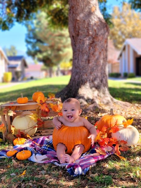 Baby fall pumpkin photo 4 Month Fall Photoshoot, 6 Month Pumpkin Photos, Baby In Pumkin Ideas Pictures, Fall 8 Month Pictures, October Infant Photo Shoot, Baby In A Pumpkin Photoshoot, 5 Month Old Halloween Photoshoot, Baby Pumkin Shoot, Diy Baby Pumpkin Photoshoot