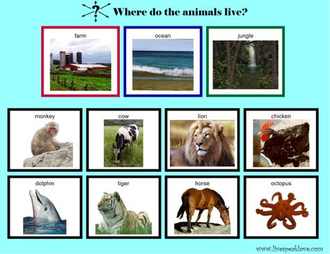 where do the animals live_page1_image1 1st Grade Science, Simple Questions, Independent Activities, Wh Questions, Expressive Language, Preschool Art Activities, Diy Classroom, English Activities, Sorting Activities