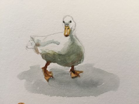 Watercolour Ducks Watercolor Painting, Two Ducks Drawing, Watercolour Ducks, Ducks Sketch, Duck Drawing Sketches, Cute Duck Painting, Geese Watercolor, Cute Duck Art, Duck Watercolor Painting