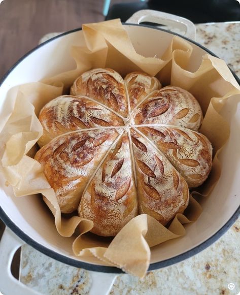 pumpkin sourdough bread 🎃 in my FAV cast iron Dutch oven! sourdough is the perfect gift and also great to bake with during the holidays! sourdough, sourdough kit, Dutch oven, cast iron, baking gift, Foodie gift, gift for baker, cooking gift, Christmas gift for her, gift for mom, Thanksgiving, unique gift nontoxic gift, homemaking, homemaker gift Follow me in the @LTK shopping app to shop this post and get my exclusive app-only-content! #liketkit #LTKGiftGuide #LTKSeasonal #LTKhome @shop.lt Sourdough In Dutch Oven, Sourdough Basket Gift, Dutch Oven Blueberry Bread, Sourdough Gift Wrap, Dutch Oven Artisan Bread, Gifting Bread Ideas, Bread Gifts For Christmas, Homesteading Christmas Gifts, Sourdough Gift