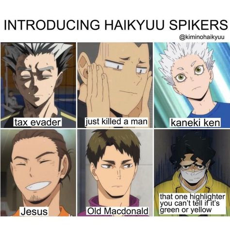 haikyuu memes funny Tokyo Ghoul Funny, Haikyuu Memes, Kagehina Cute, Haikyuu Meme, Slayer Meme, Volleyball Anime, Haikyuu Funny, Cool Anime Guys, Haikyuu Manga