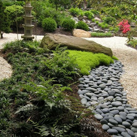 Mcm Backyard, Pine Landscape, Gravel Landscaping, Landscaping Design Ideas, Asian Landscape, Cozy Patio, Asian Garden, Landscape Designer, Traditional Landscape