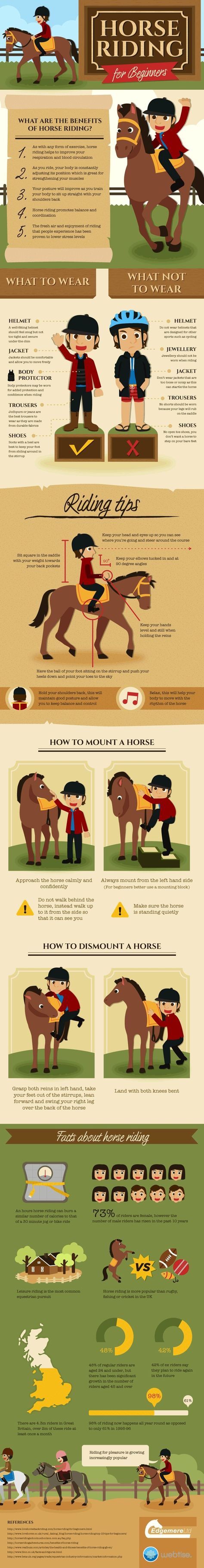 Horse Guide, Horse Hacks, Horse Lessons, Horse Information, Riding Tips, Horse Facts, Horse Care Tips, Equine Therapy, Horse Riding Tips