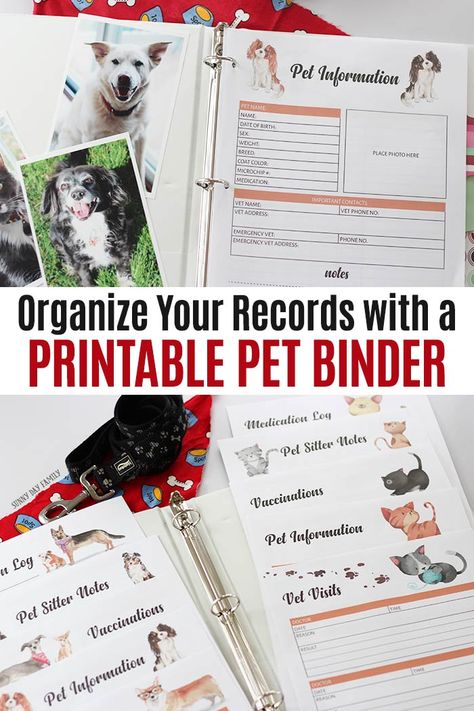 Pet Binder, Pet Health Record, Pet Planner, Pet Information, Medication Log, Pet Organization, Pet Vet, Cat Care Tips, Dog Care Tips