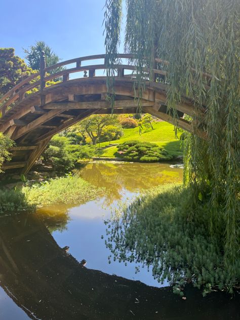 #garden #gardens #pond #peaceful #willowtree #koifish #bridge #green #nature #water #serenity #summer #aesthetic Ideas For Your Sketchbook, Pond Bridge, Sketchbook Aesthetic, Online Quiz, Nature Water, Garden Pond, Sketchbook Ideas, Increase Sales, Willow Tree