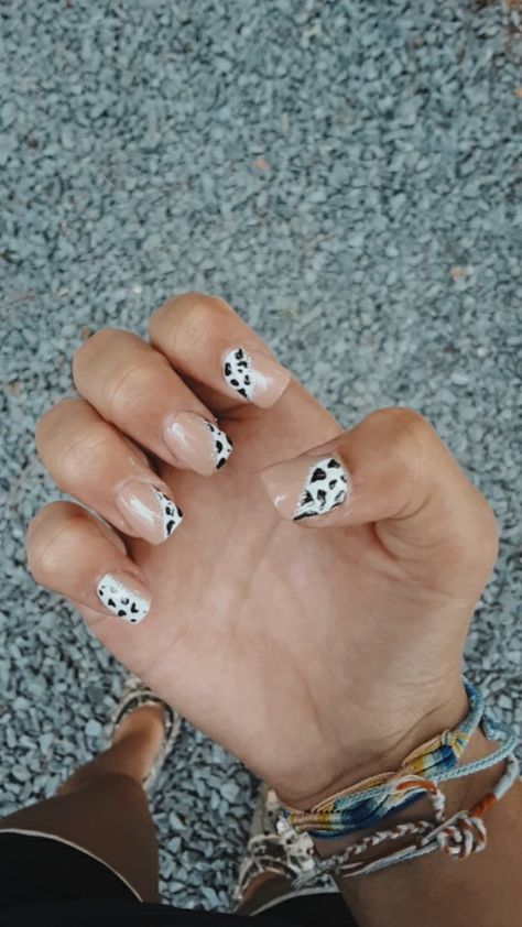 Nude and cow print nails Cute Simple Cow Print Nails, Cute Nail Ideas Cow Print, Short Nail Designs Western, Cow Print Christmas Nails, Short Nail Designs Cow Print, Cute Nails Country, Rodeo Nails Westerns Simple, Cow Print Fall Nails, Country Nails Short