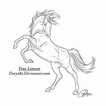 Equine Art Pencil Drawings, Horse Drawing Tutorial, Horse Outline, Horse Tattoo Design, Horse Rearing, Horse Art Drawing, Horse Sketch, Horse Anatomy, Horse Inspiration