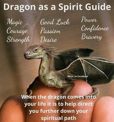 Your Weekend Spirit Guide for March 25th is The Dragon | Witches Of The Craft® Animal Totem Spirit Guides, Spirit Animal Meaning, Dragon Energy, Animal Meanings, Types Of Dragons, Animal Spirit Guides, Animal Guides, Power Animal, Animal Symbolism