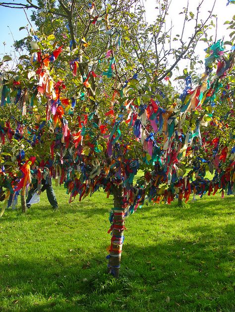 Wishing Tree at Nunnington Hall by nice icing, via Flickr Houses Of The Holy, Wishing Tree, Sacred Tree, Silk Tree, Memory Tree, The Easter Bunny, Garden Accents, Colorful Trees, Beltane