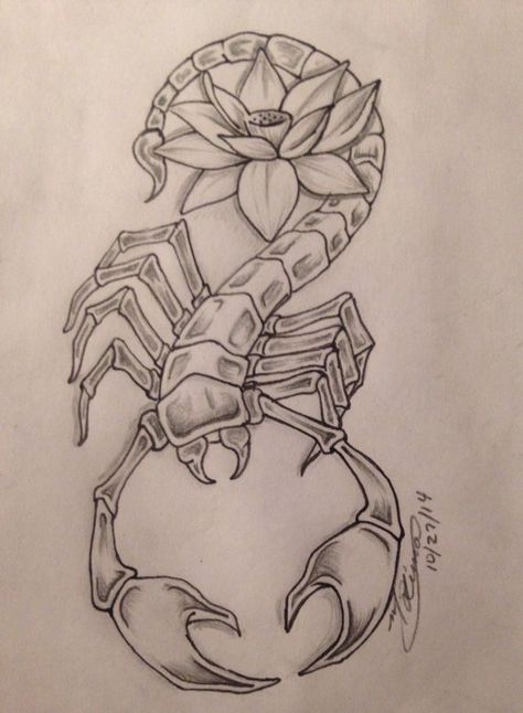 Scorpio Drawing, Scorpio Tattoos, Scorpio Zodiac Tattoos, Scorpion Tattoos, Tier Tattoo, Scorpio Art, Scorpio Tattoo, Scorpion Tattoo, Zodiac Tattoos