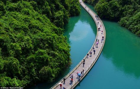 Floating on water: The floating walkway in central China allows visitors to see a part of a valley that's only accessible by rowing boat Floating Bridge, Wooden Walkways, Aerial Images, Aerial Photograph, Walk On Water, Over The River, Blue River, Floating In Water, I Want To Travel