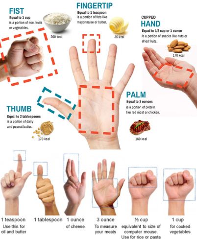 Portion Size Guide, Nutrition Infographic, Track Calories, Gym Nutrition, Nutrition Month, Muscle Food, Portion Sizes, Nutrition Education, Make Good Choices