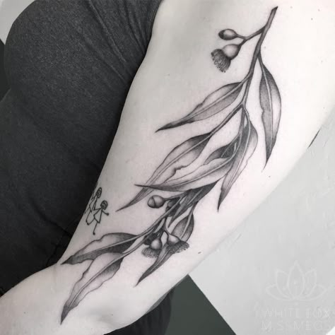 Gum Leaves Tattoo, Eucalyptus Leaves Tattoo, Gumnut Tattoo, Gum Leaf Tattoo, Australian Botanical Tattoo, White Fox Tattoo, Australian Tattoo Ideas, Eucalyptus Tattoo, Tattoo Types