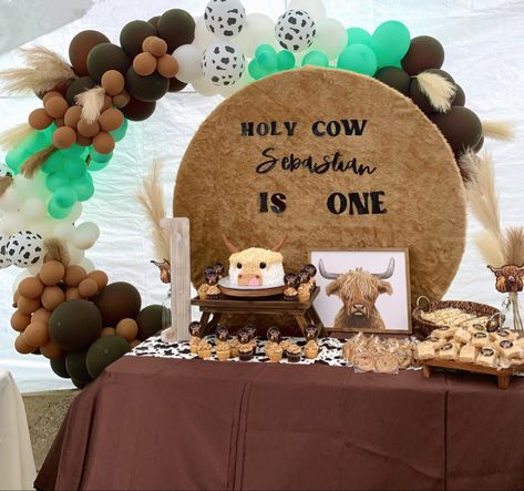 Highland Cow Birthday Party Invites, Highland Cow Second Birthday, Highland Cow Theme Party, Highlander Cow Birthday Party, Longhorn Birthday Party, Highland Cow Decorations, Highland Cow 1st Birthday Party, Highland Birthday Party, Highland Cow First Birthday Girl