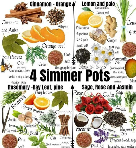 Summer Pots, Simmer Pots, Homemade Potpourri, Meditation Nature, Simmer Pot Recipes, Stove Top Potpourri, Potpourri Recipes, Simmer Pot, Black Tea Leaves