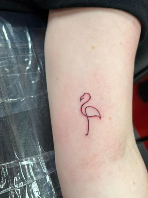 Pink Flamingos Tattoo, Mama Flamingo Tattoo, Flamingo Wrist Tattoo, Flamingo Finger Tattoo, Flamingo Tattoo For Men, Small Pink Flamingo Tattoo, Mini Flamingo Tattoo, Get Your Pink Back Flamingo Tattoo, Neon Flamingo Tattoo