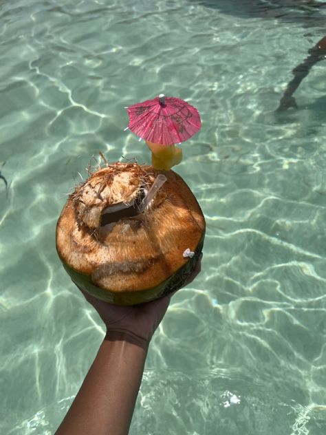 Beach aesthetic Beach Aesthetic, Hawaii, Coconut, Water