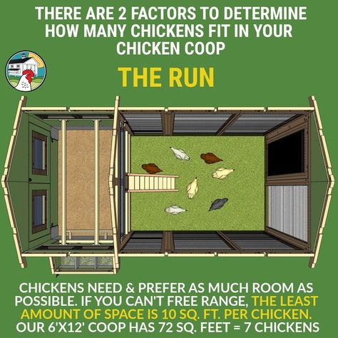 There are two crucial factors in determining how many chickens you can fit in your coop: The Henhouse and the Run. Chickens need and prefer as much room as possible. If you cannot free range your chickens outside the coop much or at all, the least amount of space is 10 sq. ft. per chicken. This shows 7 chickens in a 72 sq. ft. run. Where To Put Chicken Coop In Yard, Chicken Coop With Run Around Garden, Chicken Coop With Large Run, Lean To Chicken Coop With Run, Large Chicken Coop Ideas Diy Easy, Chicken Coop Expansion Ideas, Chicken Coop Size Requirements, Hidden Chicken Coop, Walkin Chicken Coop Ideas