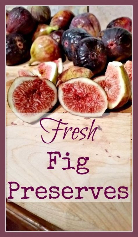 Fresh Fig Preserves - A super easy canning recipe for this beautiful, simple summer fruit. Homemade Fig Preserves, Recipe For Fig Preserves, Fig Filling Recipe, Fig Preserves Recipe Easy, Fresh Fig Recipes Simple, Fig Perserves Recipes, Fig Preserves Recipe, Fig Preserves, Fig Jam Recipe